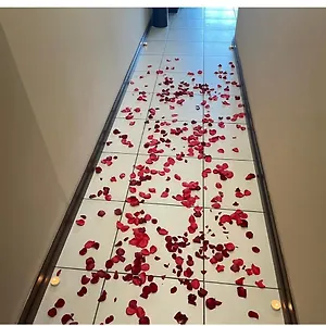 https://cocoon-apartment.maheislandhotels.com
